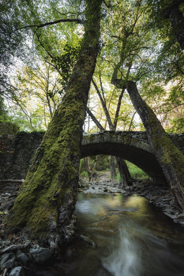 Cyprus Relocation & Residency Insights | LaunchCy Blog