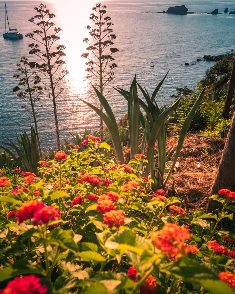 best city to live in Cyprus