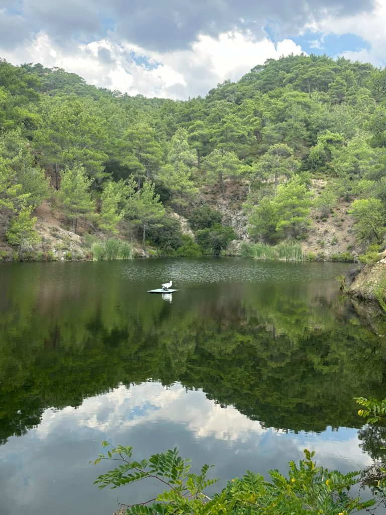 Pera pedi dam Cyprus