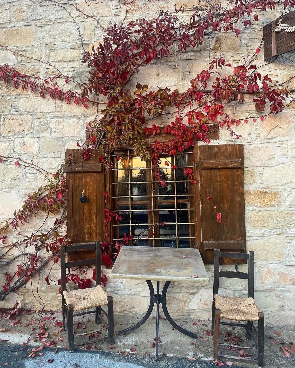things to do in cyprus